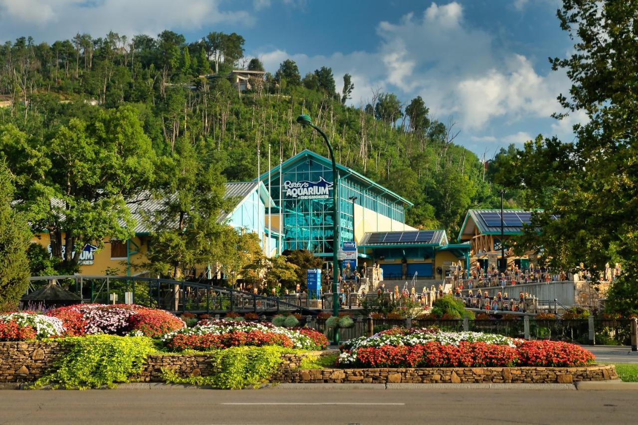 Bluebearry Patch Villa Gatlinburg Exteriör bild